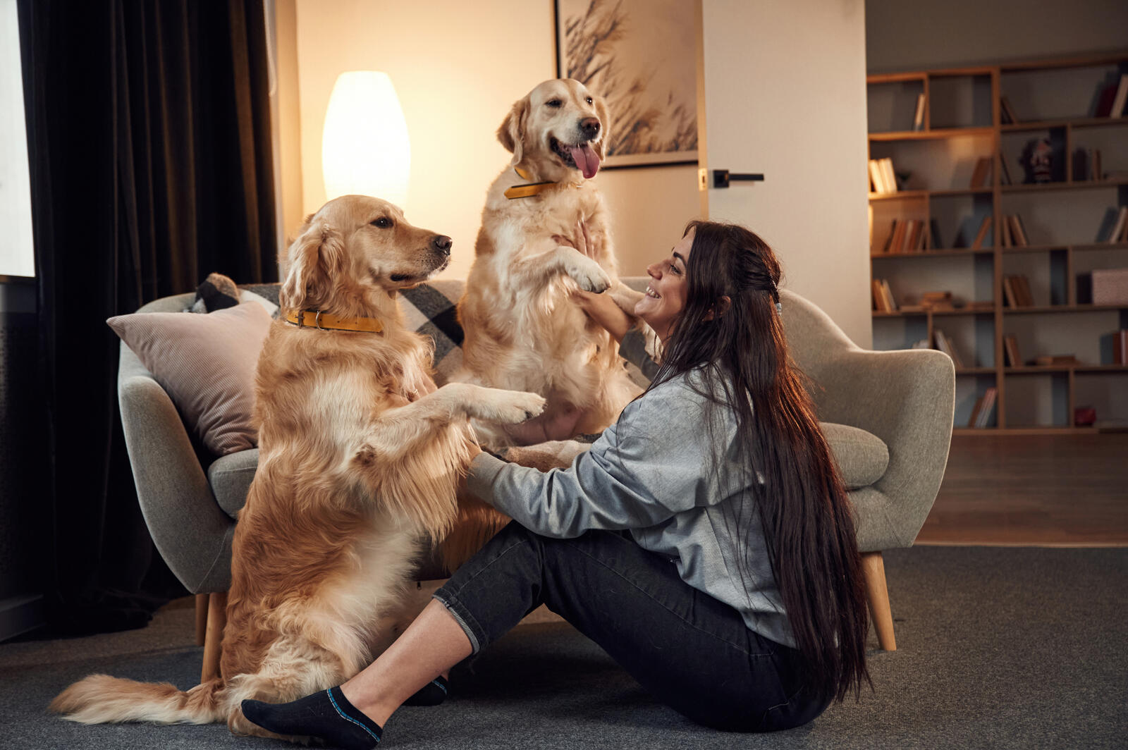 Free Pet Sitting